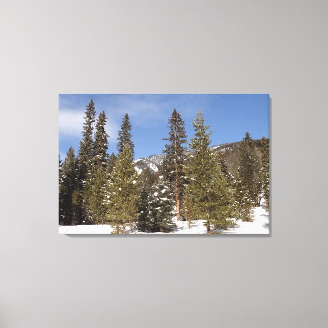 Montana Mountain Trails in Winter Landscape Photo Canvas Print (Front)