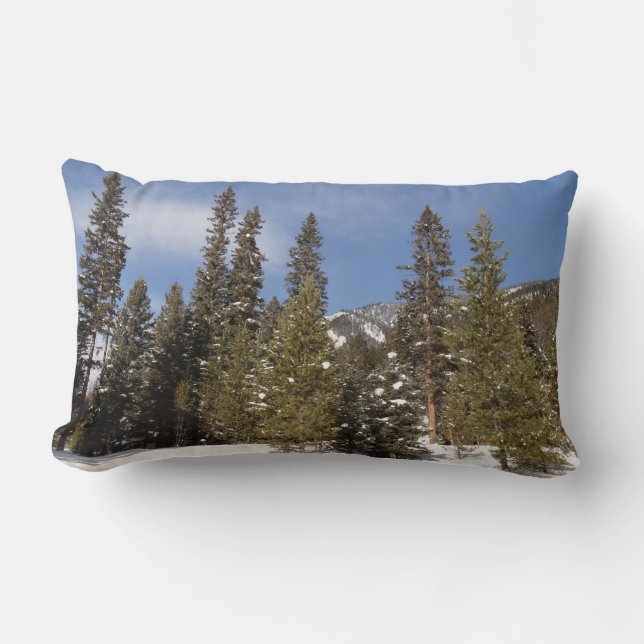 Montana Mountain Trails in Winter Landscape Photo Lumbar Cushion (Front)