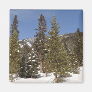 Montana Mountain Trails in Winter Landscape Photo Magnet