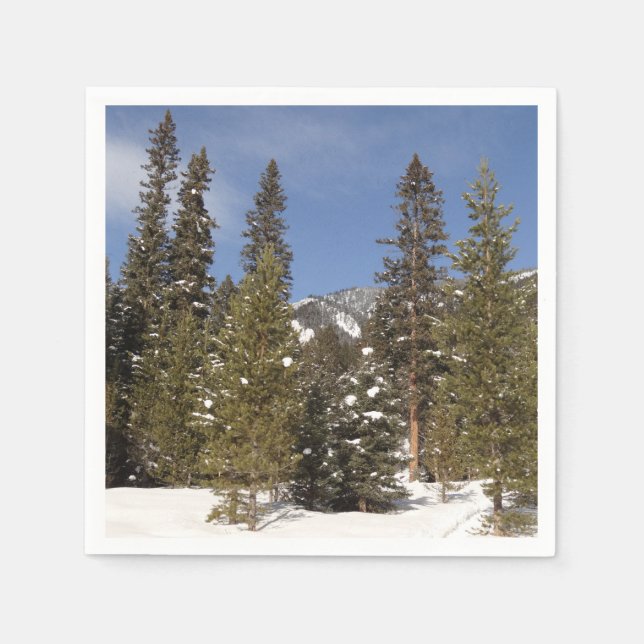 Montana Mountain Trails in Winter Landscape Photo Napkin (Front)