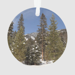 Montana Mountain Trails in Winter Landscape Photo Ornament