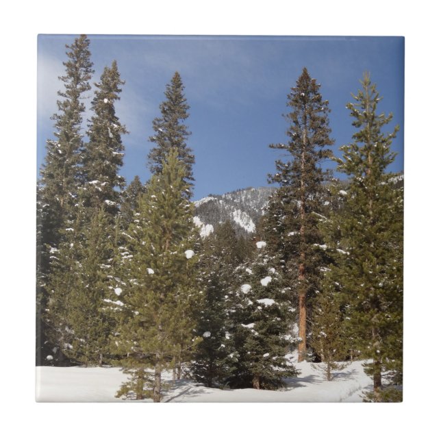 Montana Mountain Trails in Winter Landscape Photo Tile (Front)