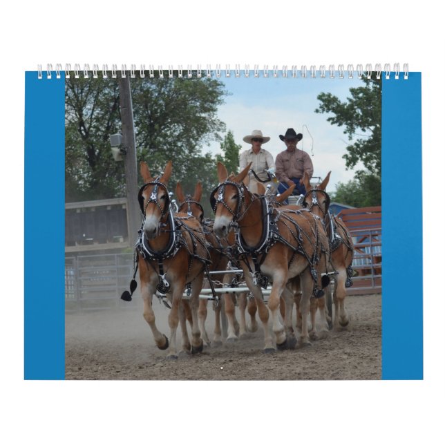 Montana Mule Days Calendar (Cover)