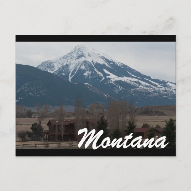 MONTANA POSTCARD (Front)