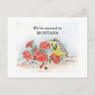 Montana Postcard