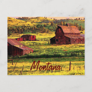 Montana Postcard