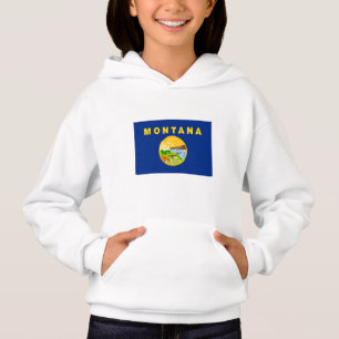Montana State Flag