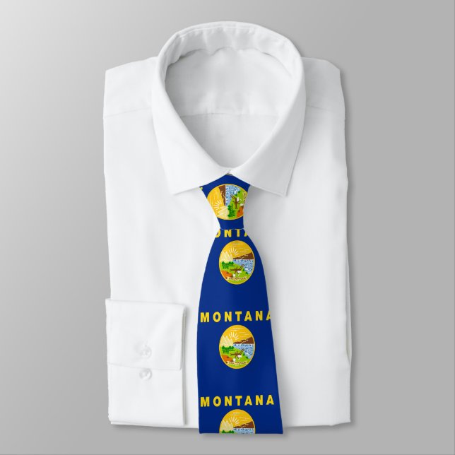 Montana State Flag Tie (Tied)