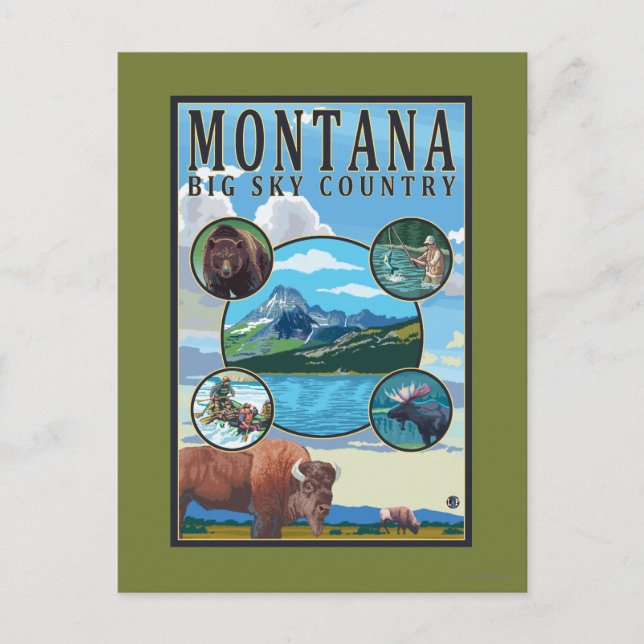 Montana State Scenes Postcard (Front)
