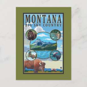 Montana State Scenes Postcard