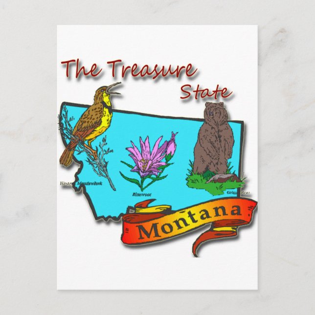 Montana Treasure State Bear Lark Flower Postcard (Front)