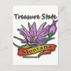 Montana Treasure State Bitterroot Postcard
