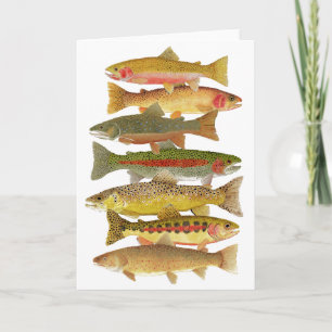 Montana Trout Card