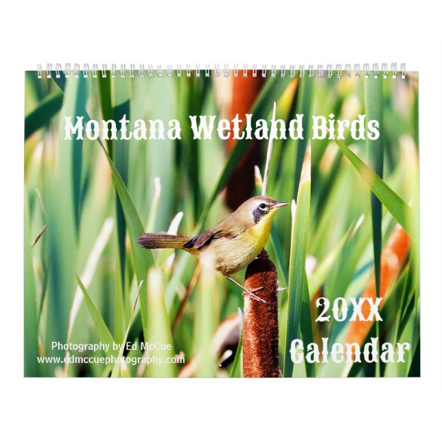 Montana Wetland Birds Calendar (Cover)