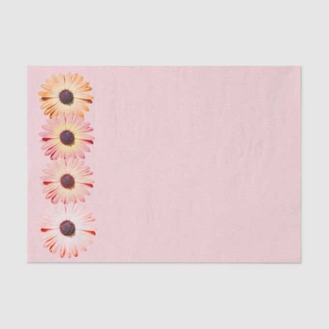 Montana Wildflowers In Pink Tissue Paper (Front)