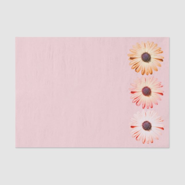 Montana Wildflowers In Pink Tissue Paper (Front)