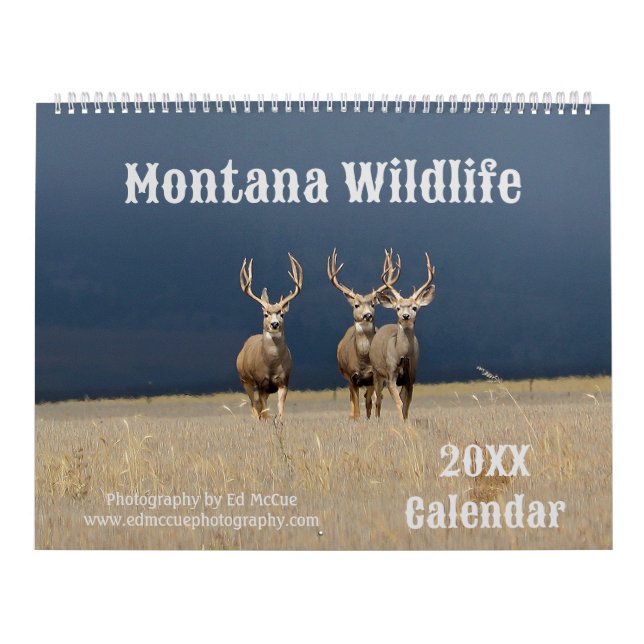 Montana Wildlife  Calendar (Cover)
