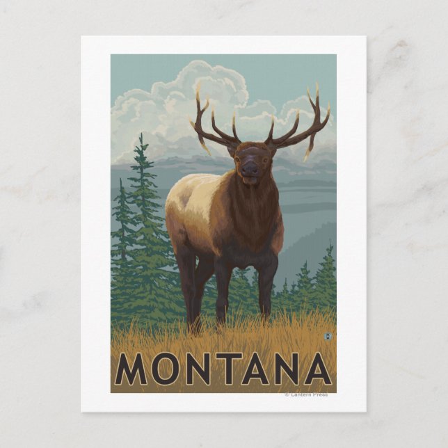 MontanaElk Scene Postcard (Front)