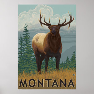 MontanaElk Scene Poster