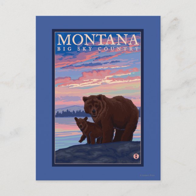 MontanaMomma Bear and Cub Vintage Travel Postcard (Front)