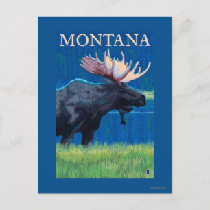 MontanaMoose Vintage Travel Poster Postcard