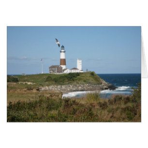 MONTAUK Lighthouse Seagull Love