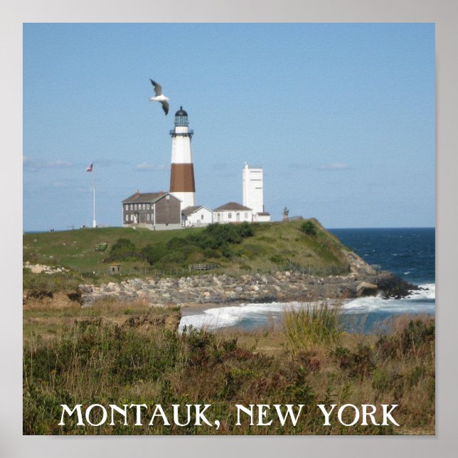 Montauk Lighthouse Seagull Love Poster (Front)