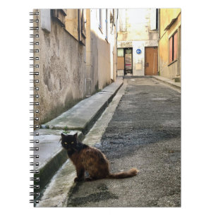 Montauk Salvage Co. / The French Cat Notebook