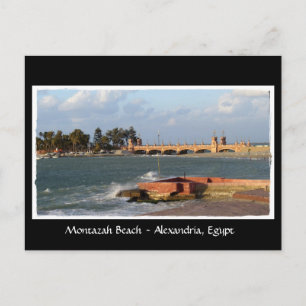 Montazah Beach - Egypt Postcard