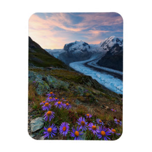 Monte Rosa Glacier   Switzerland Magnet