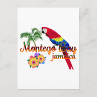 Montego Bay Jamaica Tropical Parrot