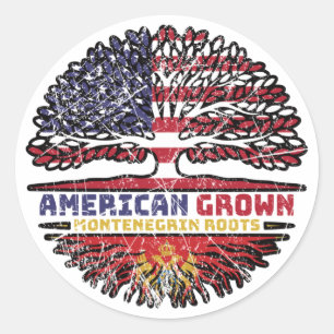 Montenegro Montenegrin American USA Tree Roots Classic Round Sticker