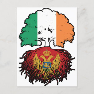 Montenegro Montenegrin Irish Ireland Tree Roots Postcard