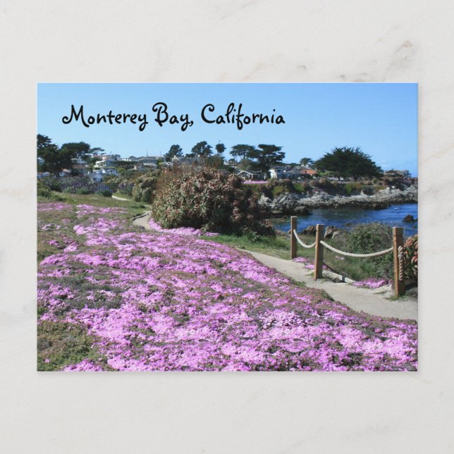 Monterey Bay, California Postcard (Front)