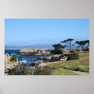 Monterey Bay Coastline, Spring Photo Poster