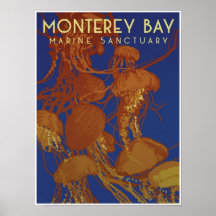 Monterey Bay Marine Sanctuary; jellyfish