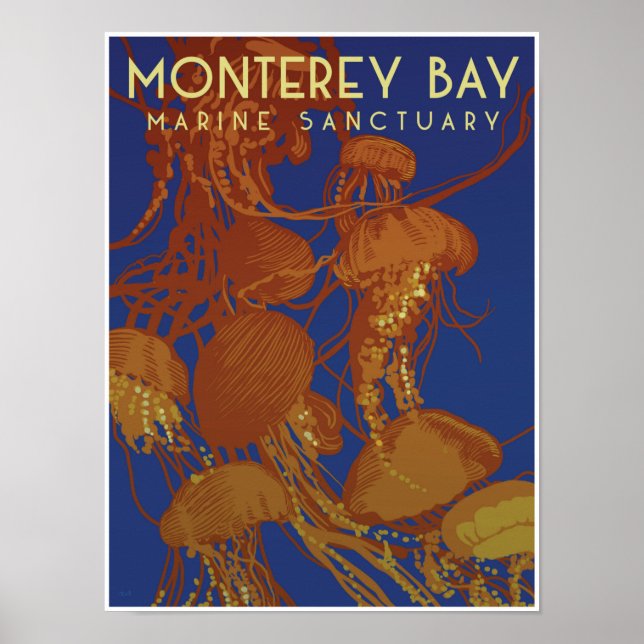 Monterey Bay Marine Sanctuary; jellyfish Poster (Front)