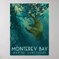 Monterey Bay Marine Sanctuary; Otter