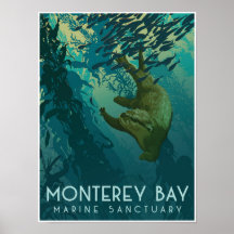 Monterey Bay Marine Sanctuary; Otter