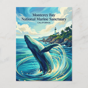 Monterey Bay National Marine Sanctuary USA Postcard
