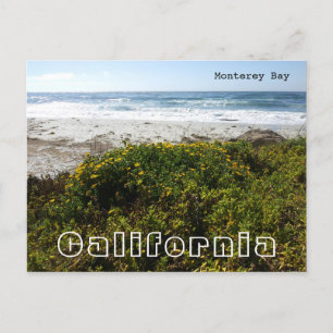 Monterey Bay Postcard