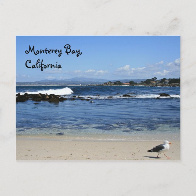Monterey Bay, Postcard (Front)