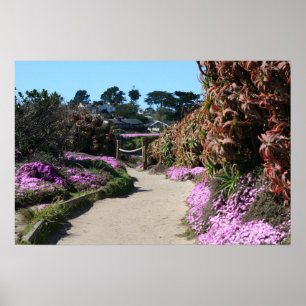Monterey Beach trail, Spring Photo Poster