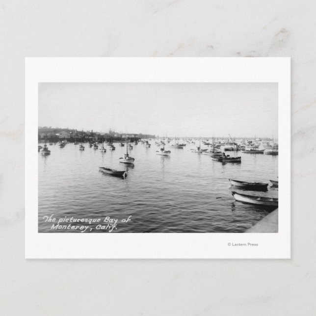 Monterey, CA - Bay with Hundreds of Wooden Boats Postcard (Front)