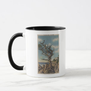 Monterey, CA - Old Witch Tree on 17 Mile Mug