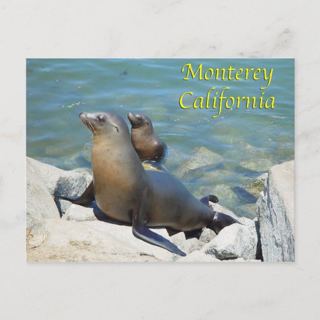 Monterey California Postcard (Front)