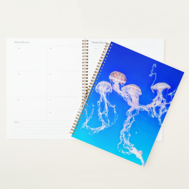 Monterey Jellyfish Planner (Display)
