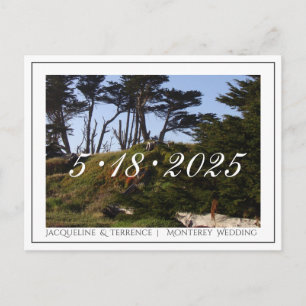 Monterey Pines California Save the Date Announcement Postcard