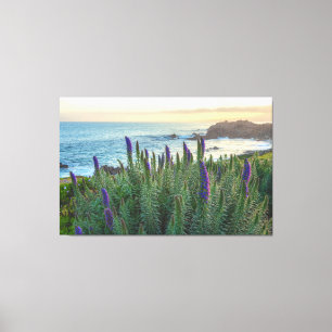Monterey Sunrise Canvas Print