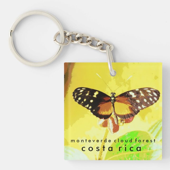 Monteverde Cloud Forest, Costa Rica Butterfly Key Ring (Front)